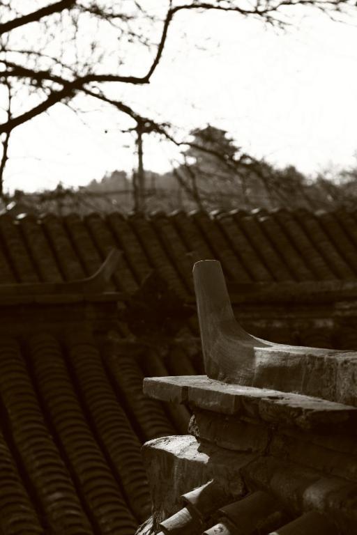 Sitting On The City Walls Courtyard House Vandrerhjem Beijing Eksteriør bilde
